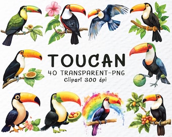 Watercolor Toucan Clipart Bundle: Tropical Bird PNG Files (Digital Download)
