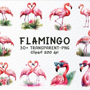 Aquarell Flamingos Png Clipart Bundle | Flamingos Png-Dateien, Vögel Png Clip Art, Flamingos Aufkleber Transparent Sublimation, Vögel Flamingo