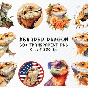 Watercolor Bearded Dragon PNG Clipart Bundle (Digital Download)
