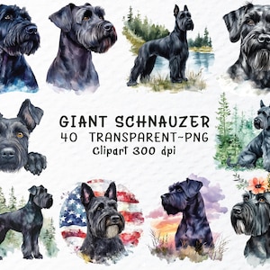 Riesenschnauzer Hund Png Clipart, Riesenschnauzer Png-Datei, Hunde Aufkleber Clip Art, Aquarell Welpe Png, Aquarell Riesenschnauzer Transparent