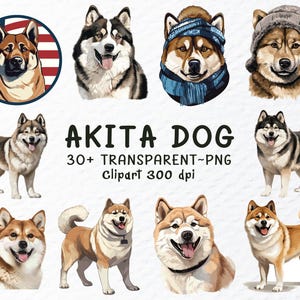 Akita Dog Png Clipart Bundle | Akita Dog Svg Png Files, Akita Dogs Decal Clip Art, Watercolor Puppy Clipart, Watercolor Akita Transparent