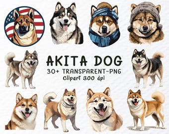 Watercolor Akita Dog Clipart Bundle: Transparent PNG, SVG Files