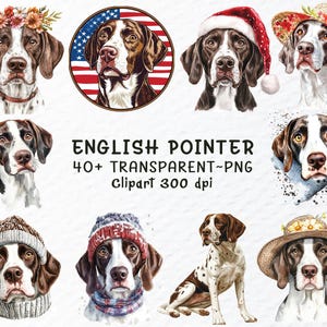 May include: Watercolor illustrations of English Pointers, some wearing hats, flower crowns, and a Santa hat. One image features a Pointer inside a circle with the American flag. Text reads "ENGLISH POINTER 40+ TRANSPARENT~PNG clipart 300 dpi."