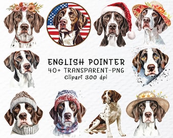 English Pointer Dog Watercolor Clipart Bundle (PNG Files)