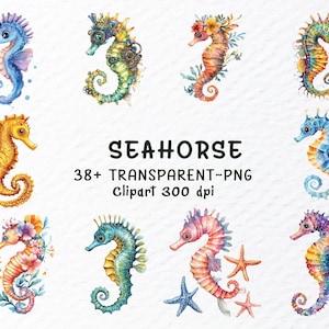 Watercolor Seahorse Png Clipart Bundle | Seahorse Png Files | Cute Sea Horse Png, Animal Clipart, Seahorse Decal, Transparent Animal Clipart