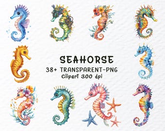 Watercolor Seahorse Clipart Bundle | Transparent PNG Files (Digital Download)