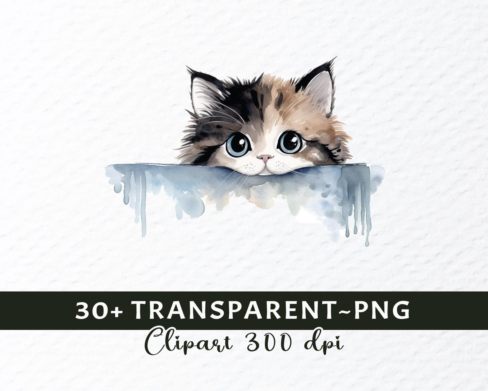 Watercolor Peeking Cat Clipart Bundle: Transparent PNG Files (digital ...