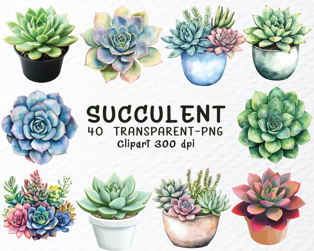Watercolor Succulent Clipart Set: Transparent PNG Images (1024x1024px ...