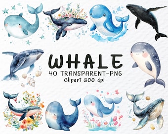 Watercolor Whale Clipart Bundle: Ocean Animal PNG Files (Digital Download)