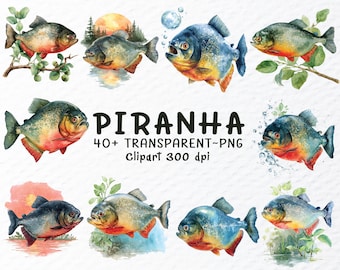 Watercolor Piranha Clipart Bundle: Transparent PNG Files (Digital Download)