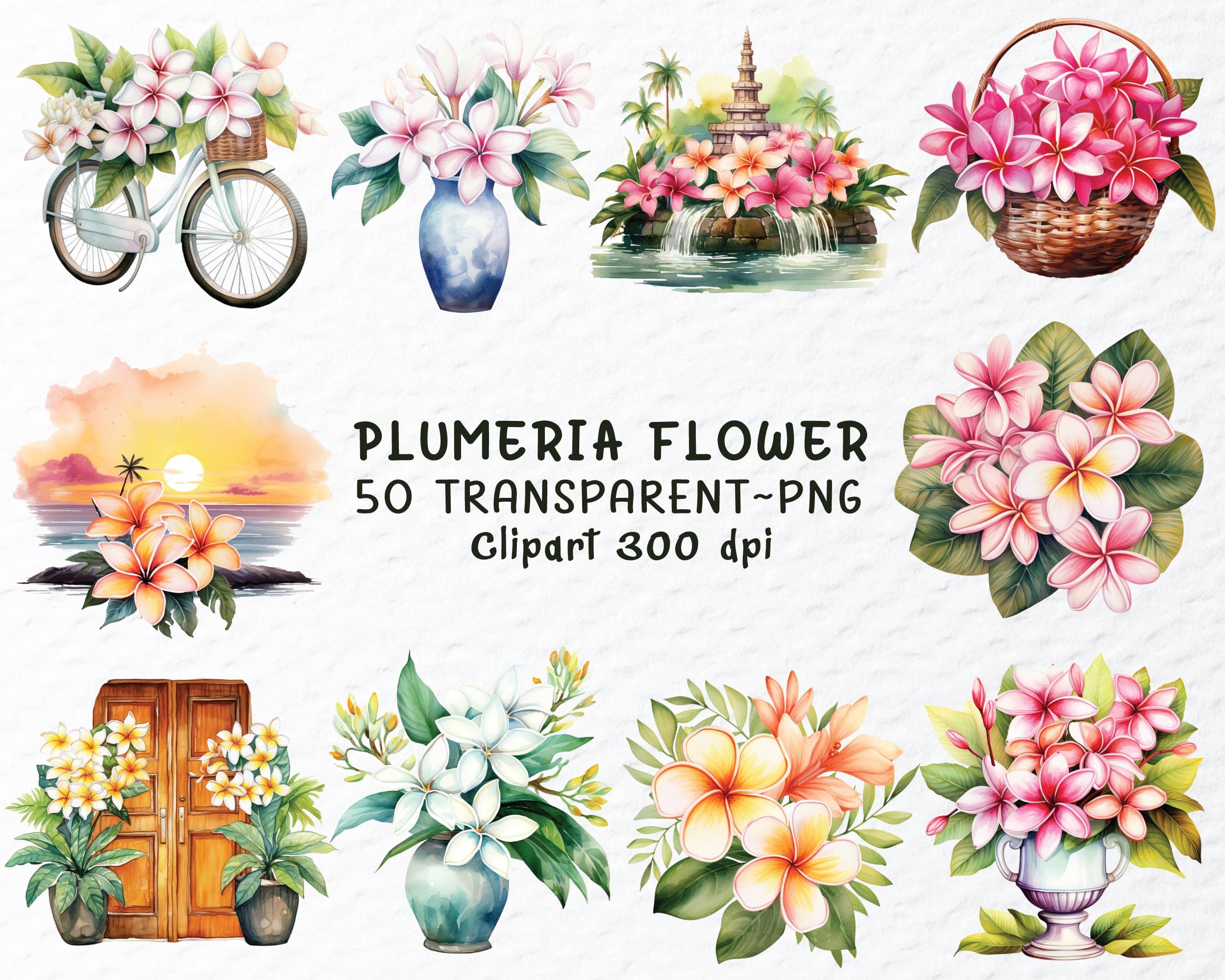 Watercolor Plumeria Flower Clipart PNG Bundle: Tropical Decals ...