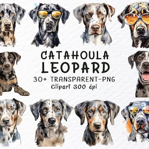 May include: Watercolor illustrations of Catahoula Leopard Dogs in various poses and colors. Some dogs wear sunglasses. Text reads "Catahoula Leopard" and "30+ Transparent PNG Clipart 300 dpi".