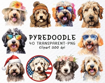 Watercolor Pyredoodle Dog Clipart Bundle: Transparent PNG (Digital Download)