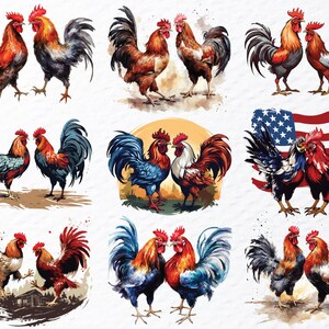 cockfighting png, fighting rooster png, rooster battle png, gamefowl clipart, rooster art png, traditional sport png, vintage rooster png, cultural art png, rooster illustration, fighting cock png, rural tradition png, farm rooster png, heritage art png, rooster design png, classic rooster png, animal illustration, folklore art png, rustic rooster png, rooster symbol png, old sport art png