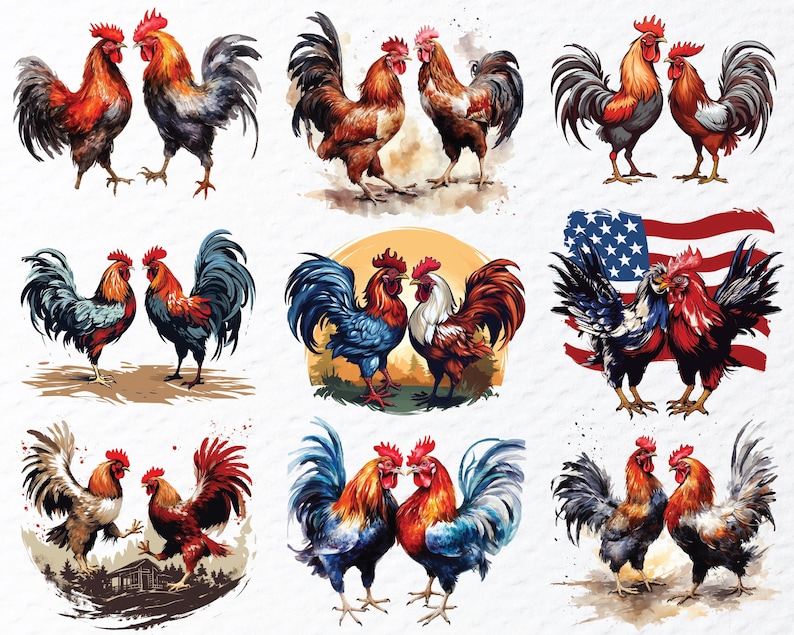 cockfighting png, fighting rooster png, rooster battle png, gamefowl clipart, rooster art png, traditional sport png, vintage rooster png, cultural art png, rooster illustration, fighting cock png, rural tradition png, farm rooster png, heritage art png, rooster design png, classic rooster png, animal illustration, folklore art png, rustic rooster png, rooster symbol png, old sport art png