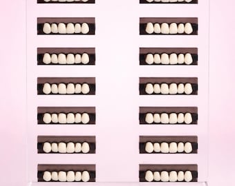 Tooth Gem Display Stand
