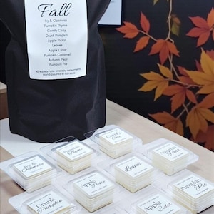 May include: A black resealable pouch labelled Lilies & Lace Candle Co. Fall with a list of ten scents including Ivy & Oakmoss and Pumpkin Pie, accompanied by ten individual clear plastic containers of soy wax melts, each labelled with a specific scent.