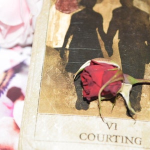 General Love Reading - Tarot Reading - Divination - Spiritual Guidance