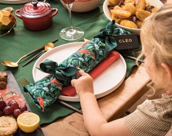 Six Luxury Reusable Velvet Christmas Crackers in Bird Print