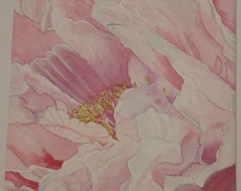 Peony a large original watercolor painting