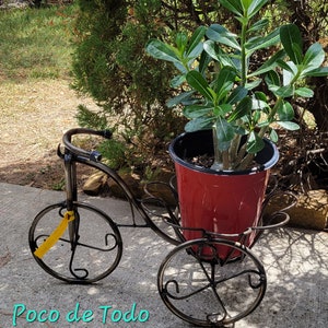 Metal Tricycle Planter Basket