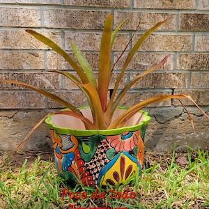 Talavera Lechuga planter