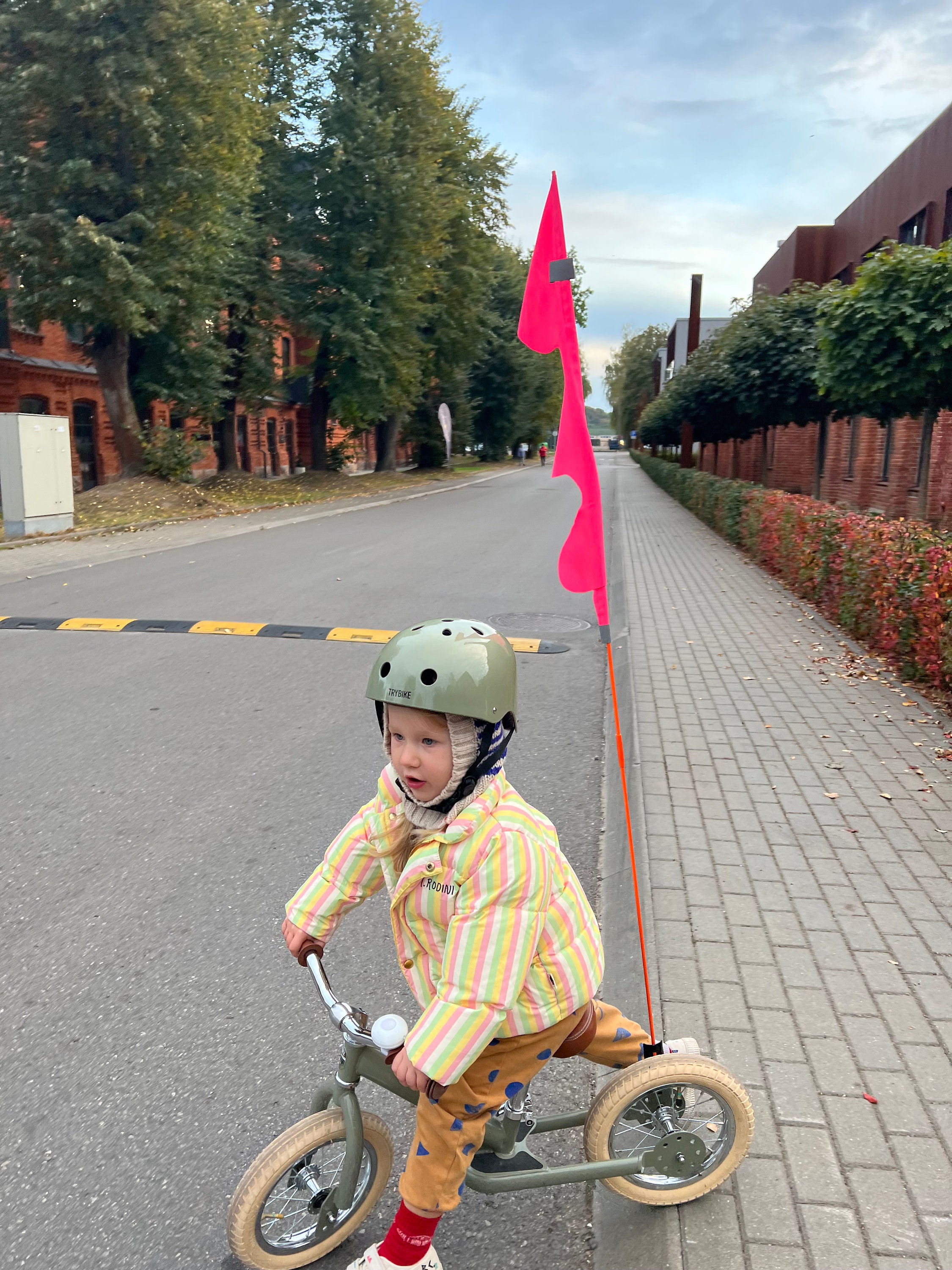 Reflektierende Dragon Tail Fahrrad Flagge, Kid Fahrrad Sicherheitsflagge,  Fahrrad Anhänger Flagge, Fahrrad Sichtbarkeit Flagge ohne Fahnenmasten -  .de