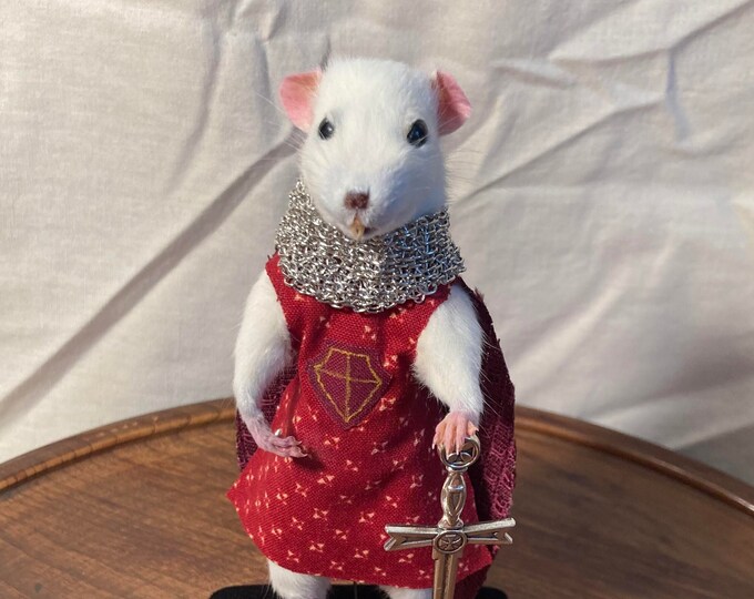 Medieval Knight Rat, Taxidermied Rat Knight, Rat Dressed as a Knight - Etsy