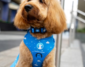 May include: A light brown dog wearing a blue harness and collar set. The harness features a white cloud and star pattern with the text "wondersquad". The dog is sitting outdoors.