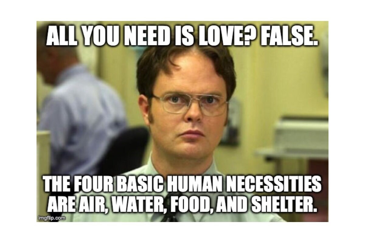 Dwight Schrute the Office Meme Wrapping Paper / the Office / Meme Wrapping Paper / Meme Gift