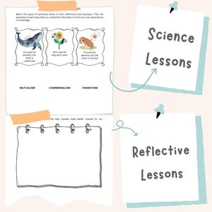 Pandora Animal Kingdom Unit | Disney Educational Worksheets | STEM STEAM Activities | Symbiosis Flight Poetry