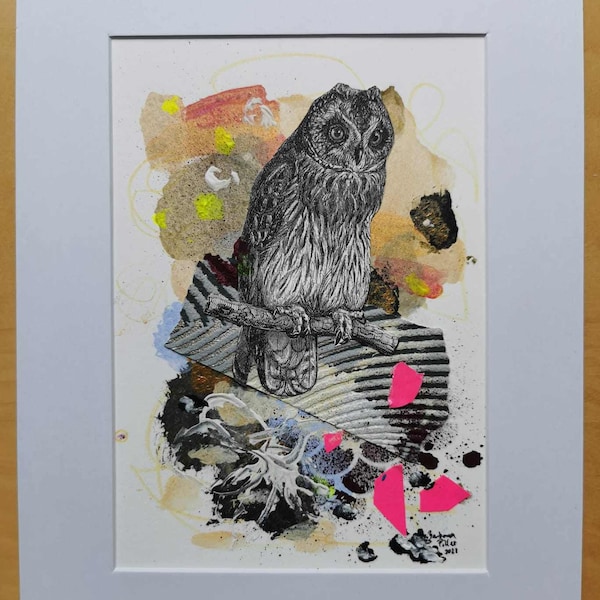 Owl Animal Collage