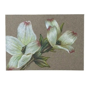 ATC Original Art,Dogwood Flowers,Coloured Pencil Floral Work,Miniature Artwork,Collectible ATC&#39;s