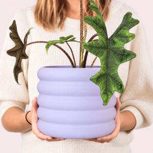 Donni bloempot – ronde plantenpot voor kamerplanten, 13–25 cm