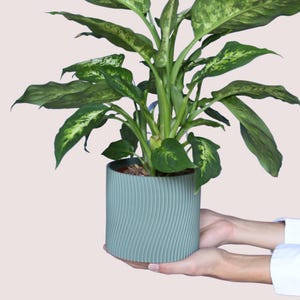 Blumentopf Vibra - Blumentopf modern – Designer Pflanztopf – Stilvolle Wohn Deko – Pflanzgefäß für Zimmerpflanzen - Blumentopf groß