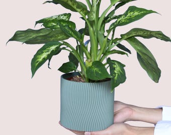 Vibra flower pot - modern flower pot - designer planter - stylish home decor - planter for houseplants - large flower pot