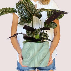 Maceta de bosque - Maceta moderna - Maceta para plantas de interior - Decoración del hogar y regalo - Maceta grande