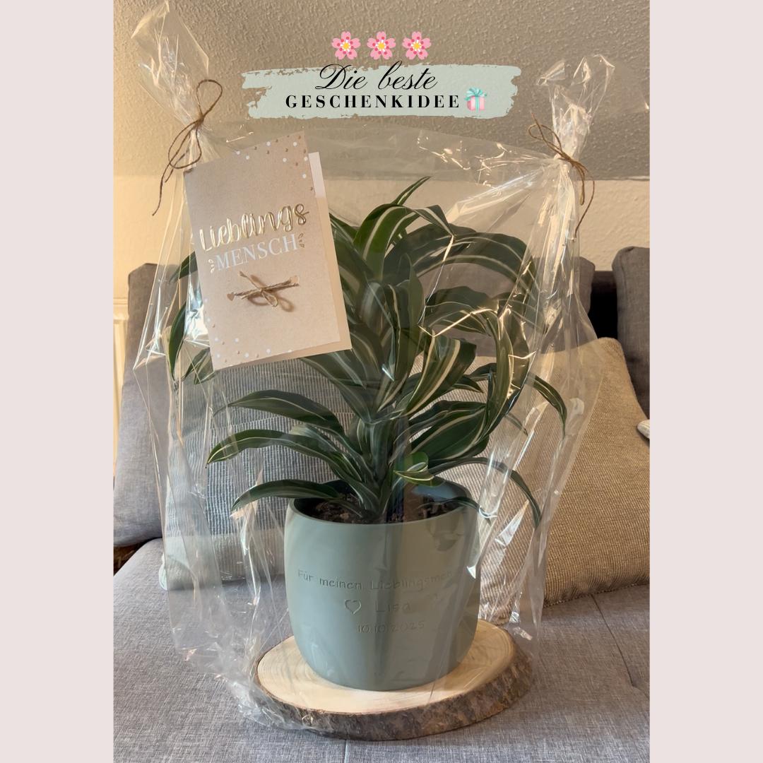 Origin - カスタマイズ可能な大型植木鉢 - オリジナルギフト - Etsy 日本