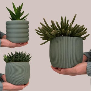 Flowerpot set - 3 small flowerpots - Original gift - Gift for plant lovers