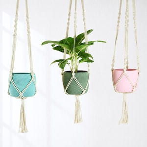 May include: Three hanging planters in teal, green, and pink, each with a ribbed design. They are suspended by macrame plant hangers with tassels. The planters contain green leafy plants. The planters are ideal for indoor plants.