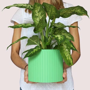 Loopis -  Großer Blumentopf - Moderner Blumentopf - Home Decor - Blumentopf groß