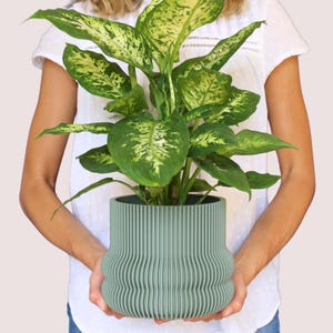 Pot de fleurs Wando - Grand pot de fleurs - Pot de fleurs moderne - Décoration intérieure - Grand pot de fleurs