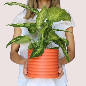 Ripply - Maceta grande - Maceta moderna - Decoración del hogar - Maceta grande