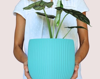 May include: A bright turquoise cylindrical plant pot featuring a vertical ribbed texture on the exterior. The pot contains a green Alocasia plant with distinct dark veins on its leaves, showcasing a contrast between the vibrant container and foliage.