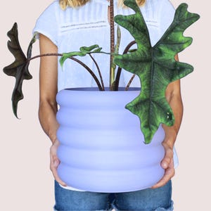 Donni - Grote bloempot - Geometrisch ontwerp, minimalistisch, aanpasbare kleuren, moderne plantenbak, origineel cadeau