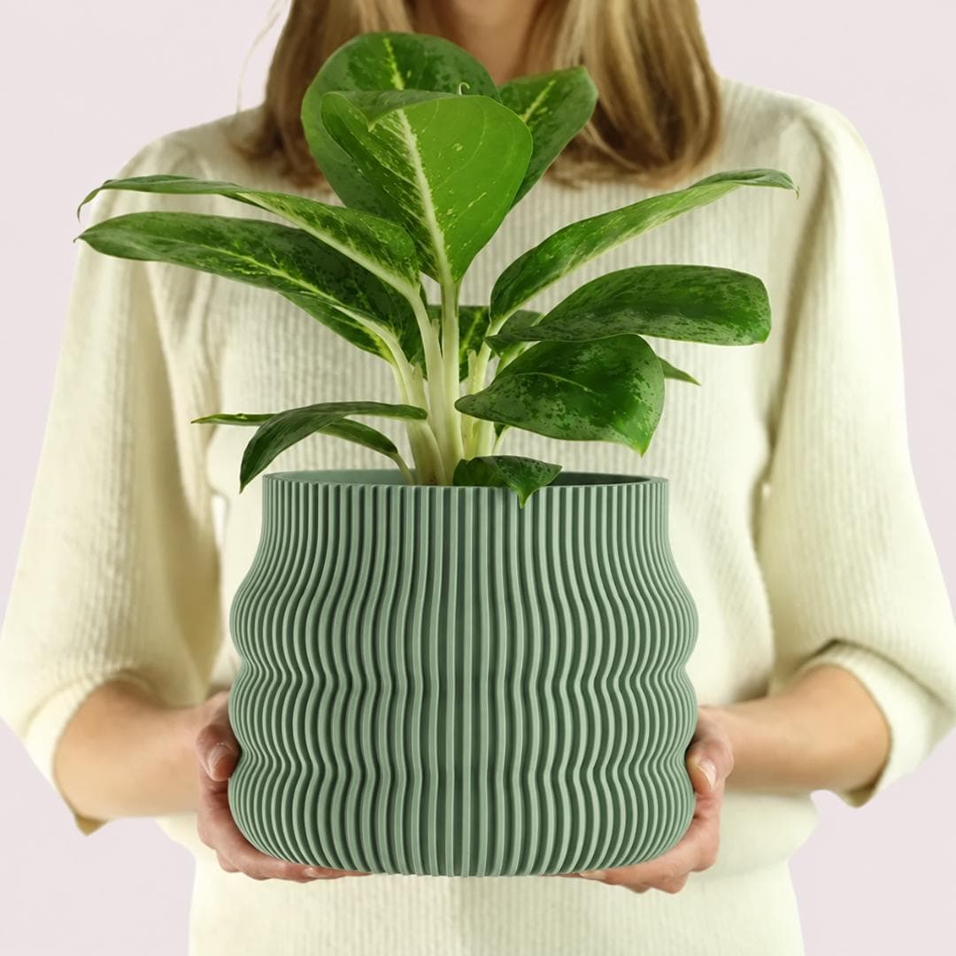 Indoor plant pot 30cm