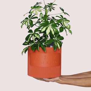 Linoro personalizado - Maceta grande personalizable - Regalo original - Regalo San Valentín - Regalo boda