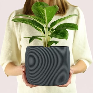 May include: A dark gray cylindrical plant pot with a textured, vertical wavy ribbed pattern. The pot contains a vibrant green and white variegated houseplant with broad, pointed leaves extending upwards from the center of the container.