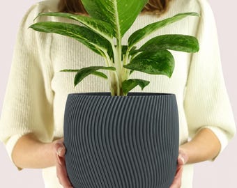 May include: A dark gray cylindrical plant pot with a textured, vertical wavy ribbed pattern. The pot contains a vibrant green and white variegated houseplant with broad, pointed leaves extending upwards from the center of the container.