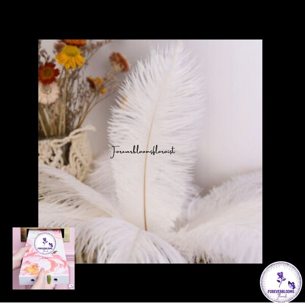 White Ostrich Feathers x 6